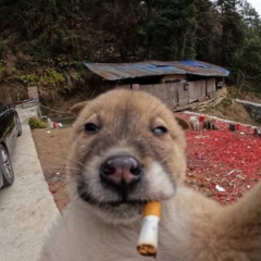 🚬