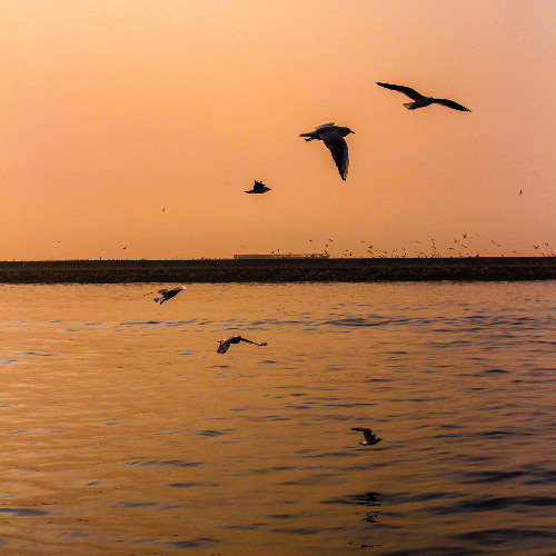 The Echo of Small Kindnesses