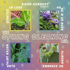 Spring Cleaning Mix 2021