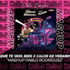 Que Te Vaya Bien X Calor De Verano - RVFV Ft Pilson -Pablo Rodríguez Mashup