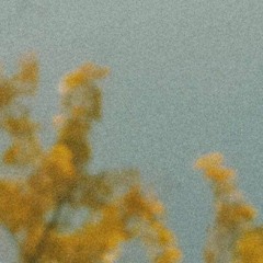 Cold - Shining For One Thing OST
