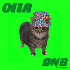 OIIA CAT dnb ver. - JFREE