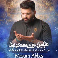 Abbas Abbas (a.s) Meri Madad Ko Aao Na  --  Mesum Abbas  --  Munajat  --  2024