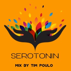 Serotonin Mix By Tim Poulo