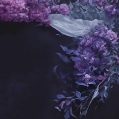 DXXDLY, SHVRM - Illusion