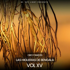 M. Dey Light Vol. XV Presents :: Oro y Raíces