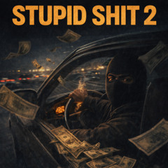 Stupid Shit 2 (prod.by senseixjay)