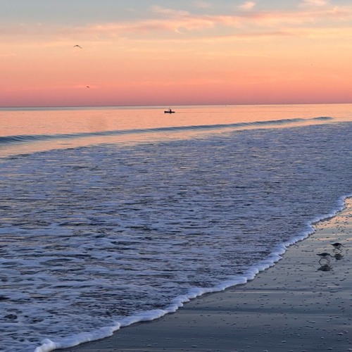 Divine Intervention by Taking Back Sunday cover