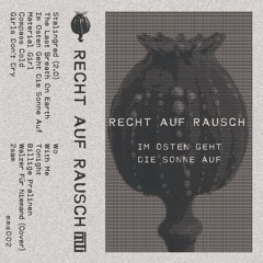Recht Auf Rausch - Walzer Für Niemand (Cover)