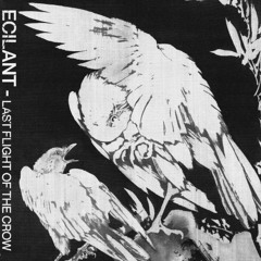 Ecilant - Last Flight Of The Crow (Crow Beats Send)