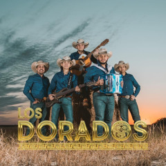 Bonita - Los Dorados