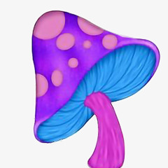 Mushroom psy - 142 bpm