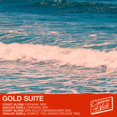 PREMIERE: Gold Suite - Analogue Swell (Yarni's 'you asked for dub mix')  [Citizens Of Vice ]