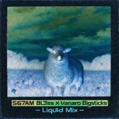 567AM Bl3ss X Vanaro Bigsticks -  Liquid Mix