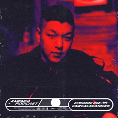 AMENIIA PODCAST 015 // UNREALNUMBERS