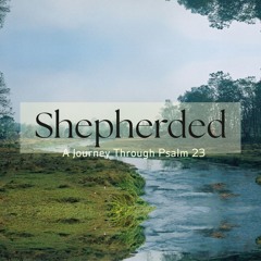Shepherded | Paths of Righteousness for His Name's Sake - Psalm 23 - Clint Leavitt