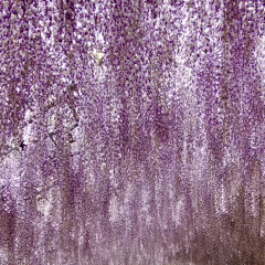 Piano Sketch 13 Infinity Garden