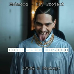 Promo_Mahmood - Fly Project Tuta Gold Musica (DOMY-R Mashup)