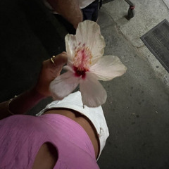 Pink tulips (feat. Matter)