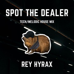 Spot the dealer - Tech/Melodic house Mix