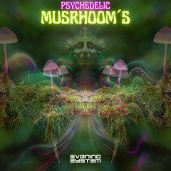 Psychedelic Musrhoom - Evening System (original Mix)