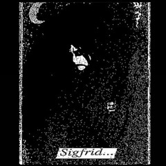Friedhof - Teutonic and transylvanian blood