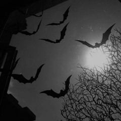 Darkways - I like the night (and the night likes me)