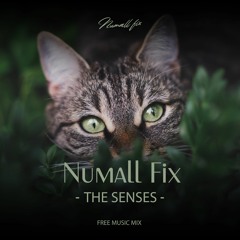 Numall Fix - The Senses (Free Mix) (Royalty Free Music)