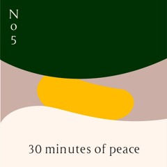 30 Minutes Of Peace No.5