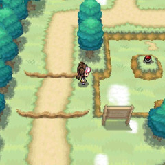 Route 19