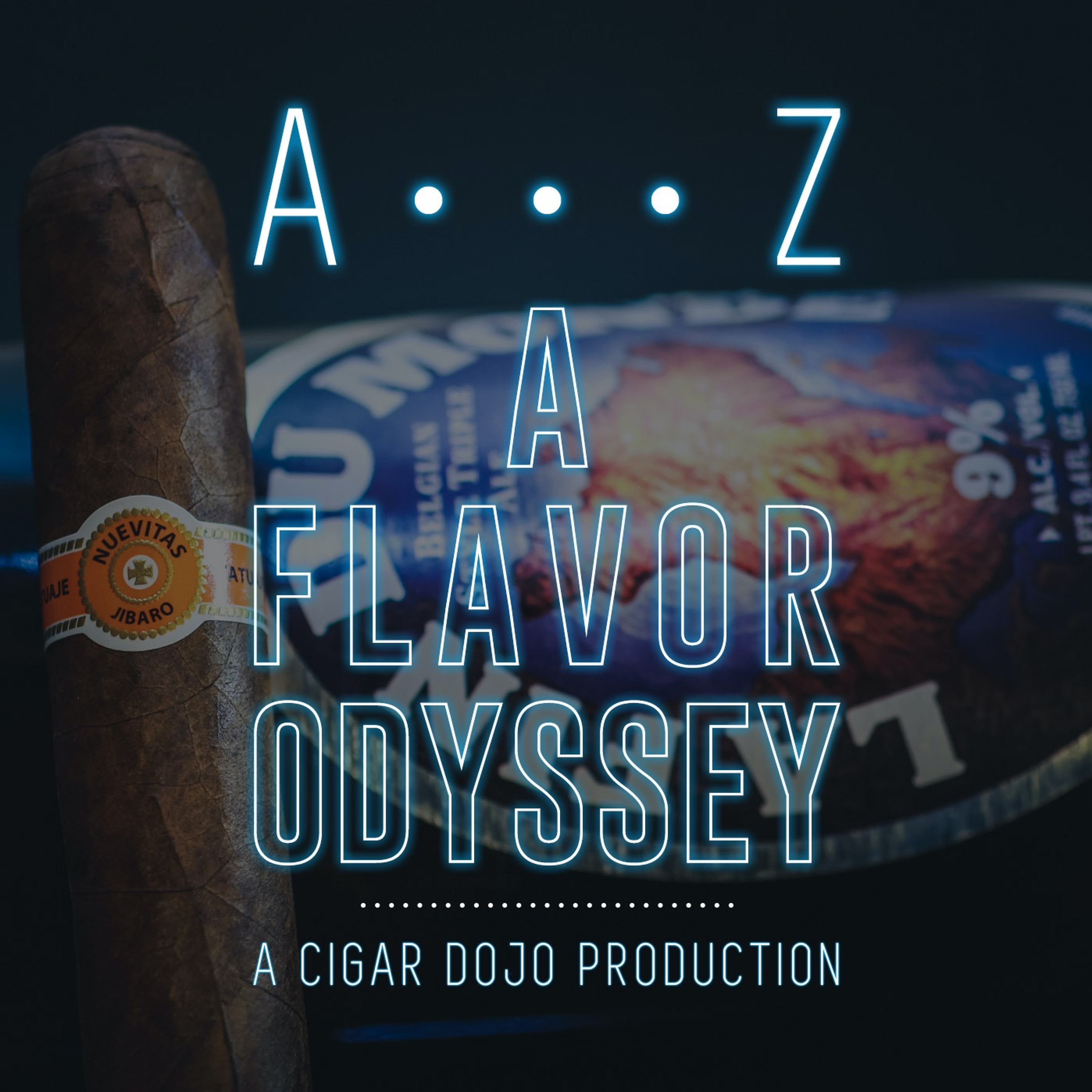 A Flavor Odyssey