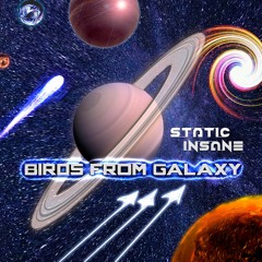 Birds From Galaxy