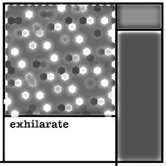 exhilarate