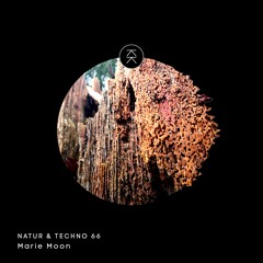 Natur & Techno 066 - Marie Moon