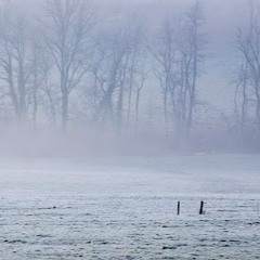 Walkers On The Frozen Fields Of Nothingness