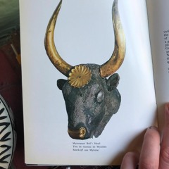 These Things Will Never Change