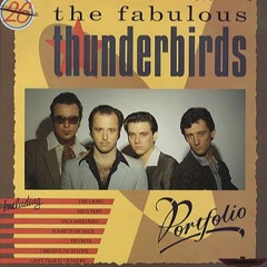 The Fabulous Thunderbirds - Running Shoes - By The Booze Blend