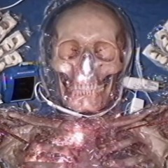 Can't Stomach (ginseng)