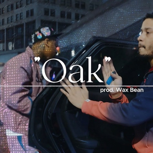 Chill Detroit/Flint Type Beat 2024 - "Oak" (prod. Wax Bean)