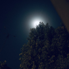 Kya Pyar Karoge Mujhse - Cover by Ashok Singh  _ Anu Malik _ Kucch To Hai.mp3