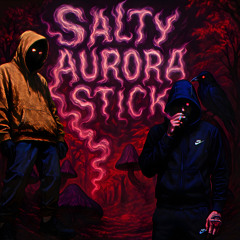 SALTY AURORA STICK