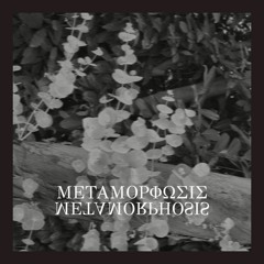 New World Order(Darkstar83 & D@p)