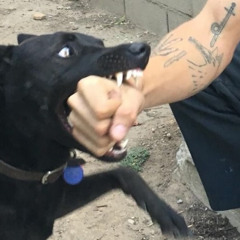 on me ft ankle @zatru