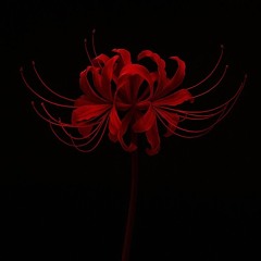 WATCH OUT (First warning)