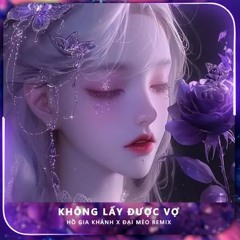 Không Lấy Được Vợ (Đại Mèo Remix)