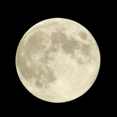 それでも月は僕を見ている