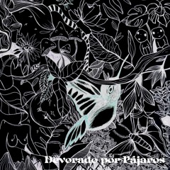 Los pájaros no saben que vuelan.