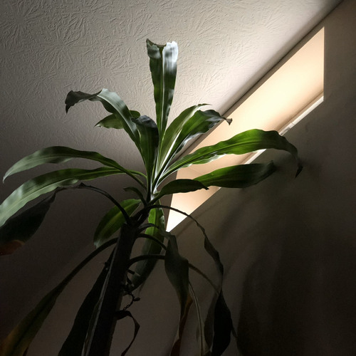 must be the weather (interlude)