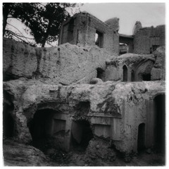 هناسه‌ی سرد