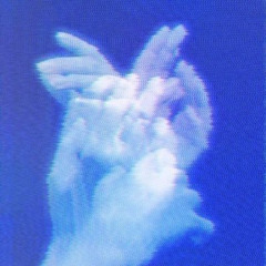 spotlightxx prod nonsixe